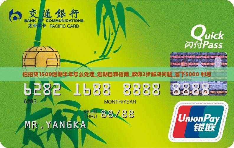 拍拍贷1500逾期半年怎么处理