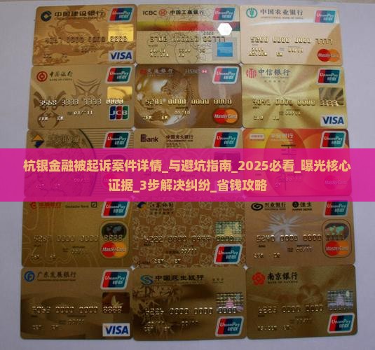 杭银金融被起诉案件详情