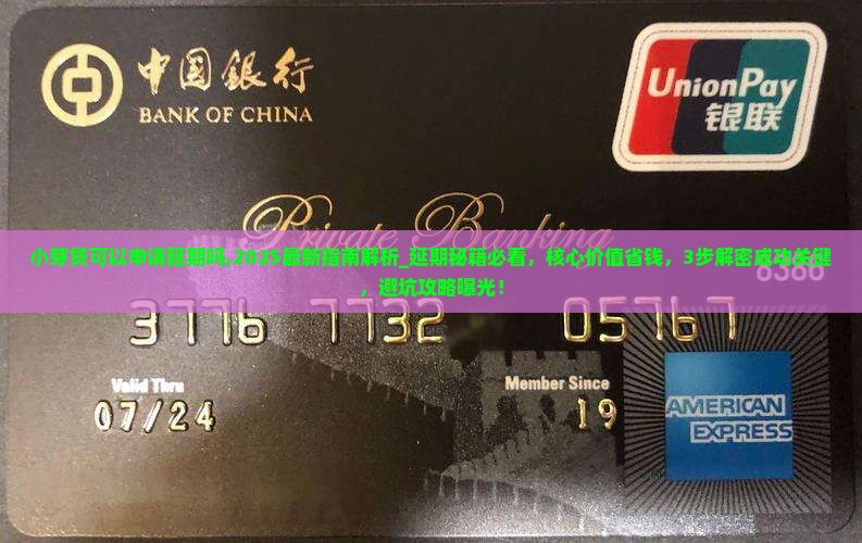 小芽贷可以申请延期吗需要注意哪些问题
