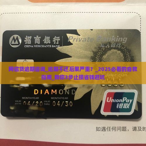 网信贷逾期咨询
