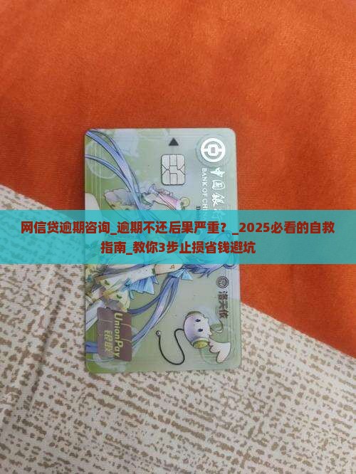 网信贷逾期咨询