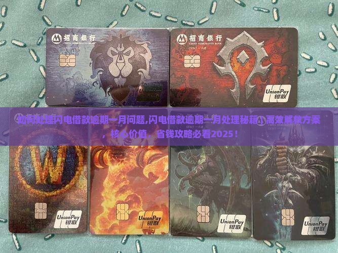如何处理闪电借款逾期一月问题