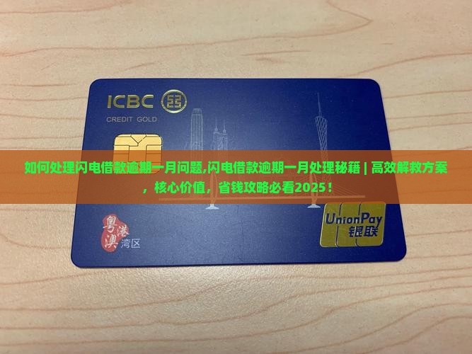 如何处理闪电借款逾期一月问题