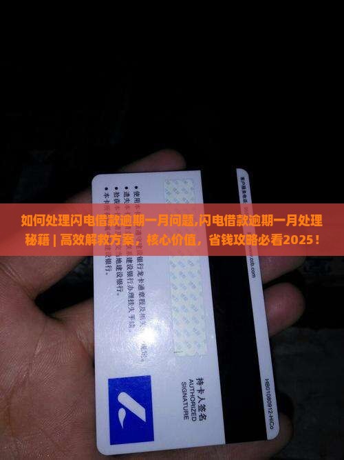 如何处理闪电借款逾期一月问题