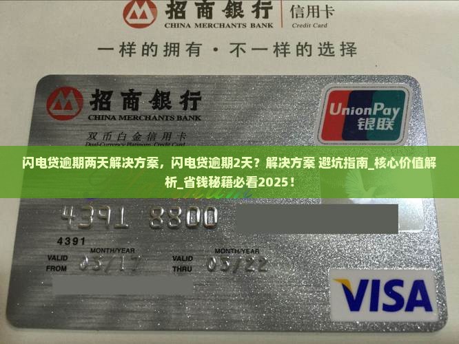 闪电贷逾期两天解决方案