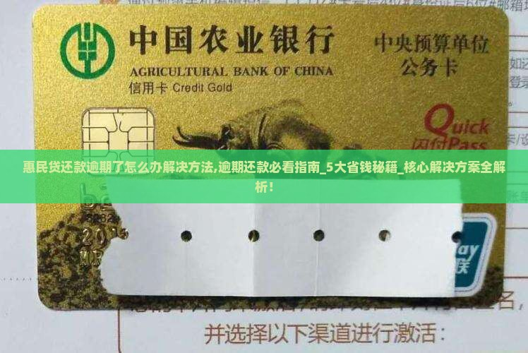 惠民贷还款逾期了怎么办解决方法