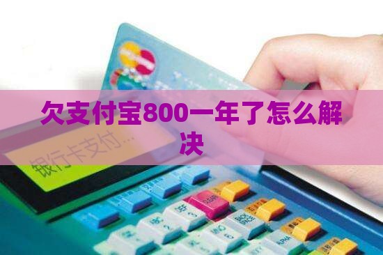 欠支付宝800一年了怎么解决