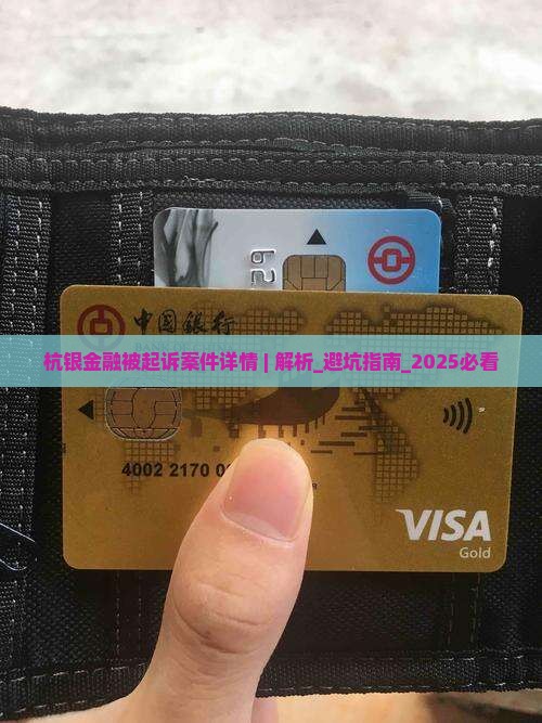 杭银金融被起诉案件详情