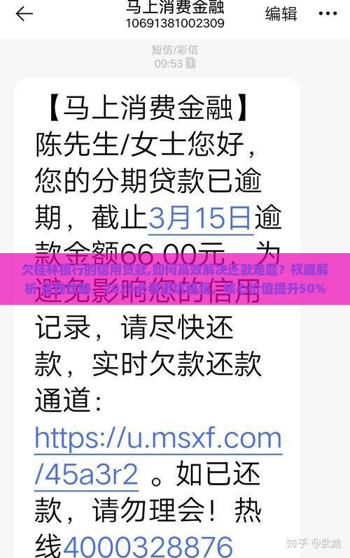欠桂林银行的信用贷款