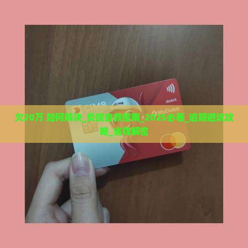 欠20万微粒贷如何解决
