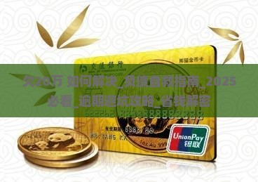 欠20万微粒贷如何解决