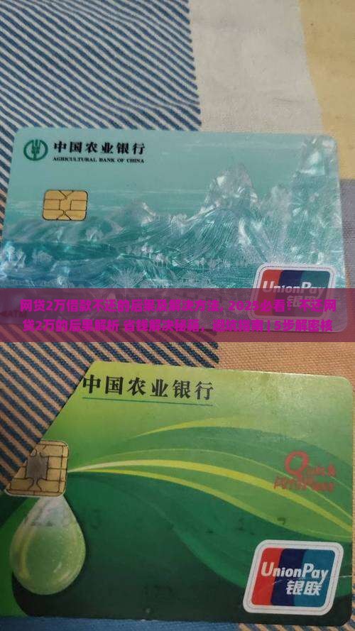 网贷2万借款不还的后果及解决方法