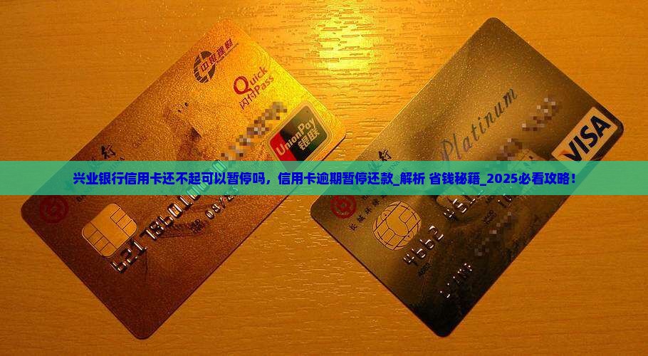 兴业银行信用卡还不起可以暂停吗