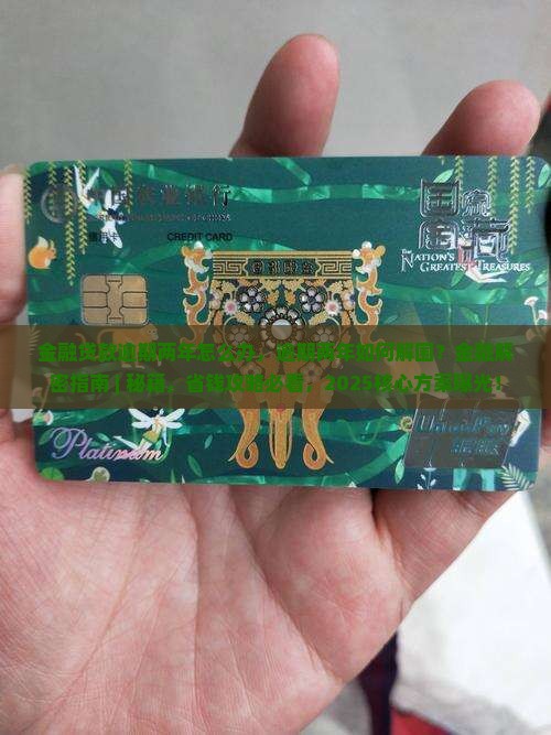 金融贷款逾期两年怎么办