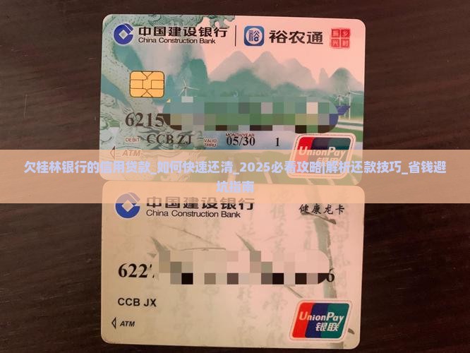 欠桂林银行的信用贷款