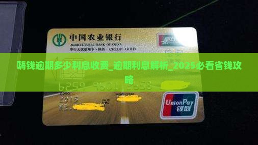 嗨钱逾期多少利息收费