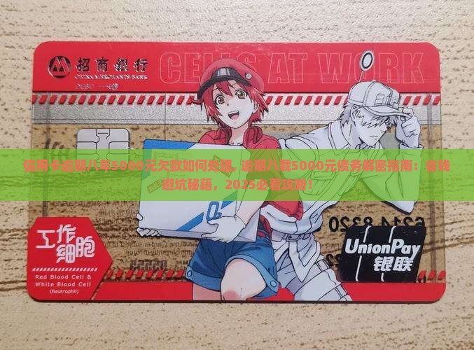 信用卡逾期八年5000元欠款如何处理