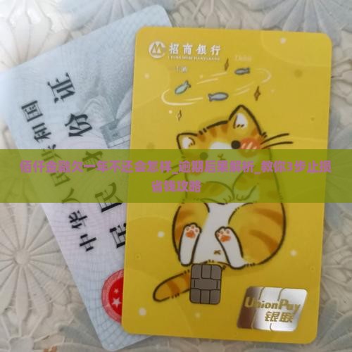 佰仟金融欠一年不还会怎样
