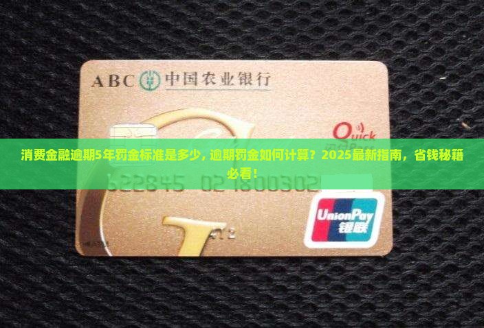消费金融逾期5年罚金标准是多少