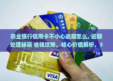 农业银行信用卡不小心逾期怎么办理