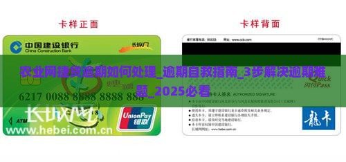 农业网捷贷逾期如何处理
