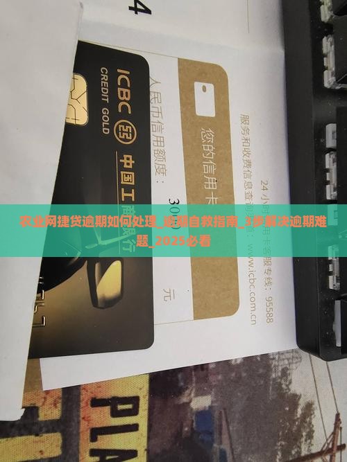 农业网捷贷逾期如何处理