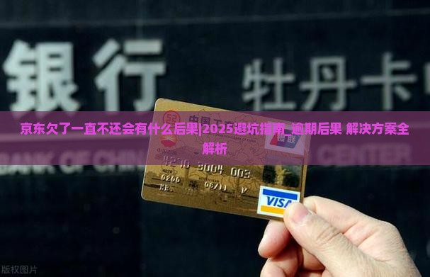 京东白条欠了一直不还会有什么后果