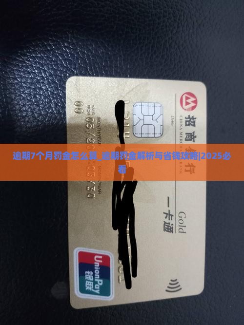 360借条逾期7个月罚金怎么算