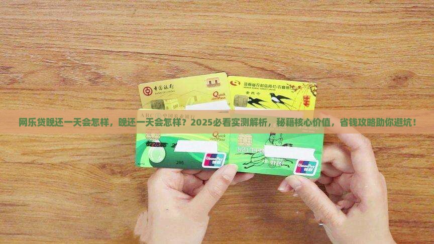 网乐贷晚还一天会怎样