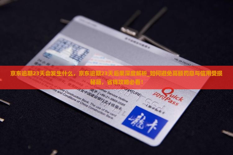 京东白条逾期23天会发生什么