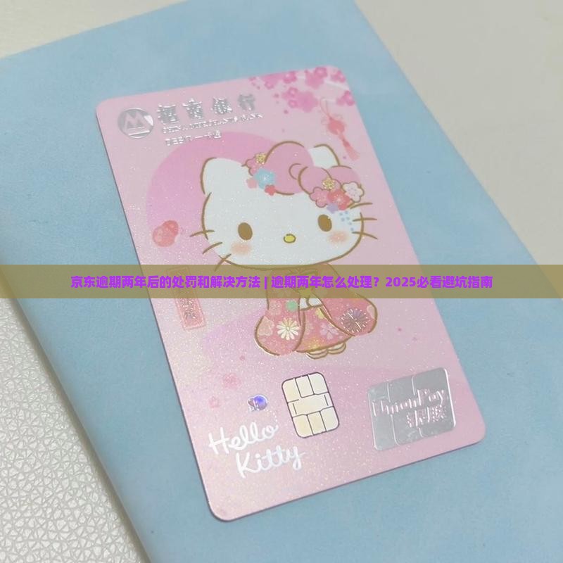 京东白条逾期两年后的处罚和解决方法