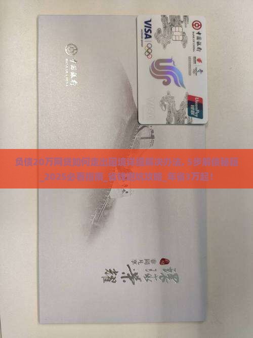 负债20万网贷如何走出困境详细解决办法