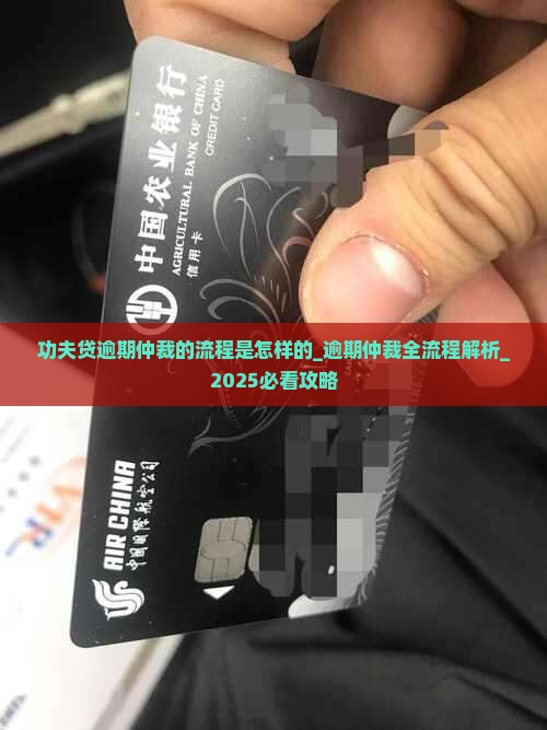 功夫贷逾期仲裁的流程是怎样的