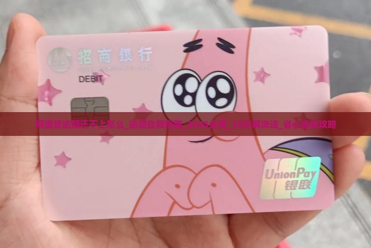 网捷贷逾期还不上怎么办理