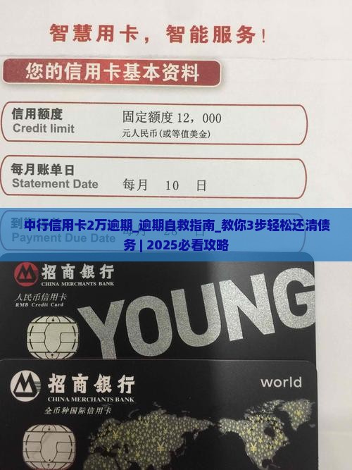 中行信用卡2万逾期