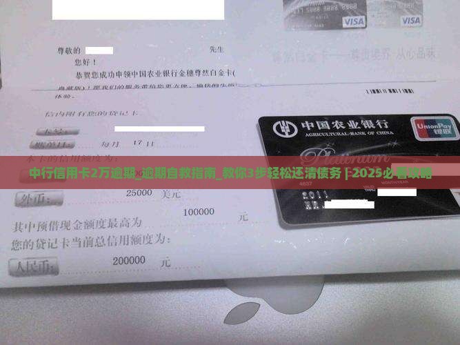 中行信用卡2万逾期