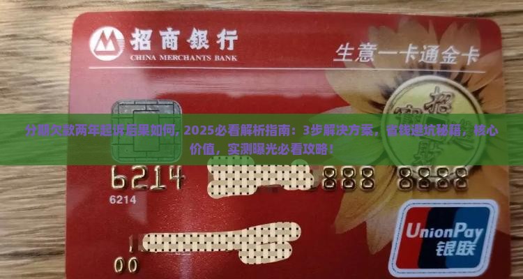 分期欠款两年起诉后果如何