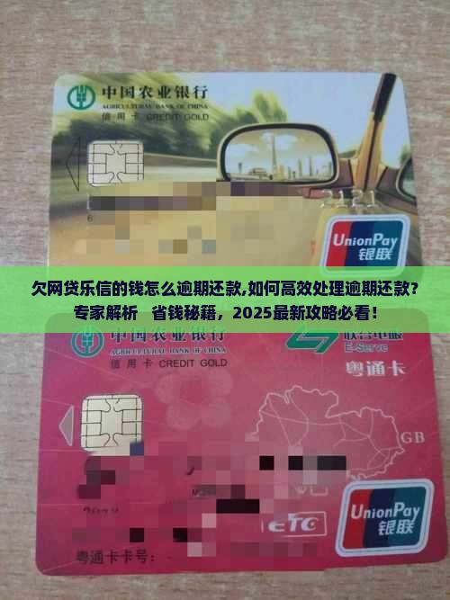 欠网贷乐信的钱怎么办理逾期还款