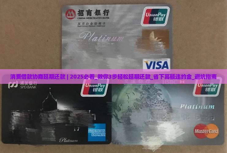 消费借款协商延期还款