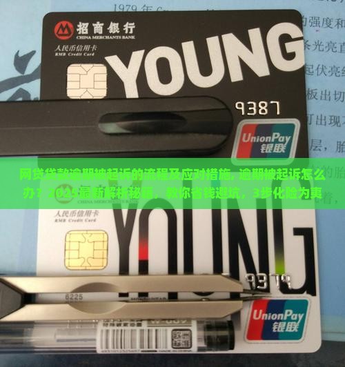 网贷贷款逾期被起诉的流程及应对措施