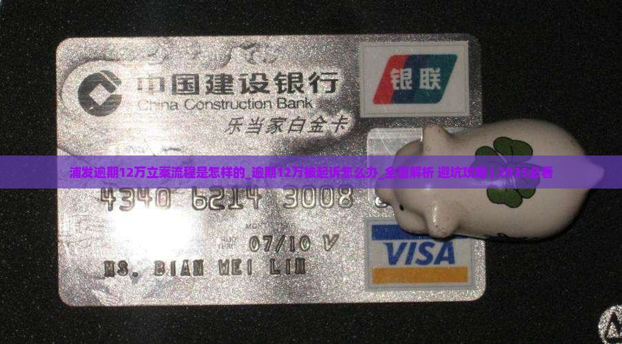 浦发逾期12万立案流程是怎样的