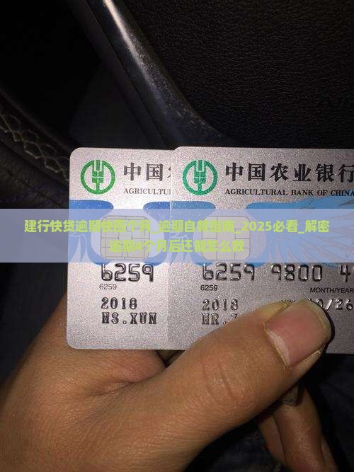 建行快贷逾期快四个月