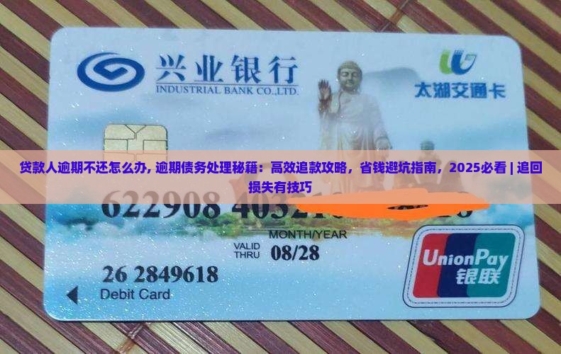 贷款人逾期不还怎么办