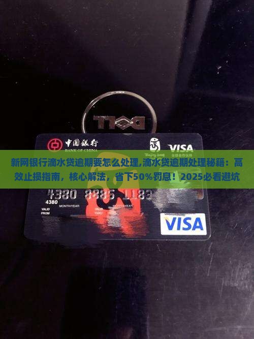新网银行滴水贷逾期要怎么处理