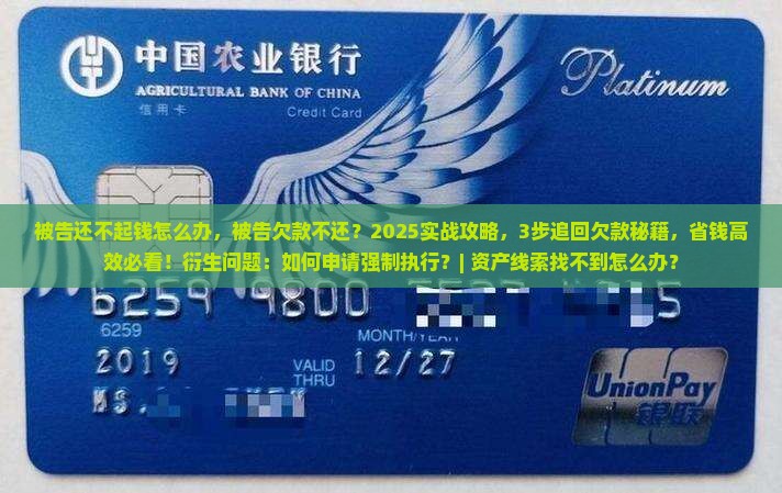 被告还不起钱怎么办