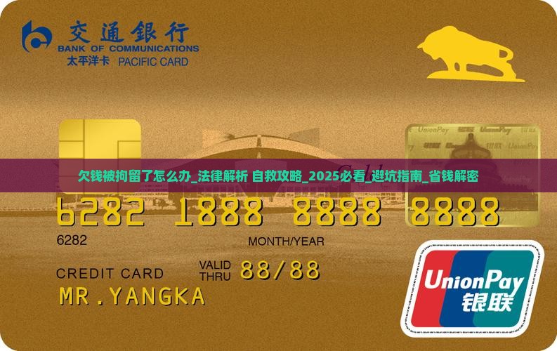 欠钱被拘留了怎么办